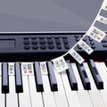 Piano/Keyboard Stickers - 88 keys - Removable Piano Key Stickers - piano stickers - Silicone - learn to play strip - Piano key stickers - Reusable - removable - with numbers - Easily Learn Music Notes - for beginners