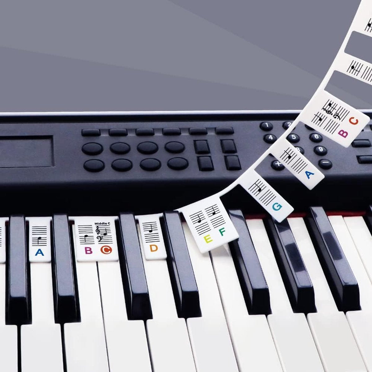 Piano/Keyboard Stickers - 88 keys - Removable Piano Key Stickers - piano stickers - Silicone - learn to play strip - Piano key stickers - Reusable - removable - with numbers - Easily Learn Music Notes - for beginners
