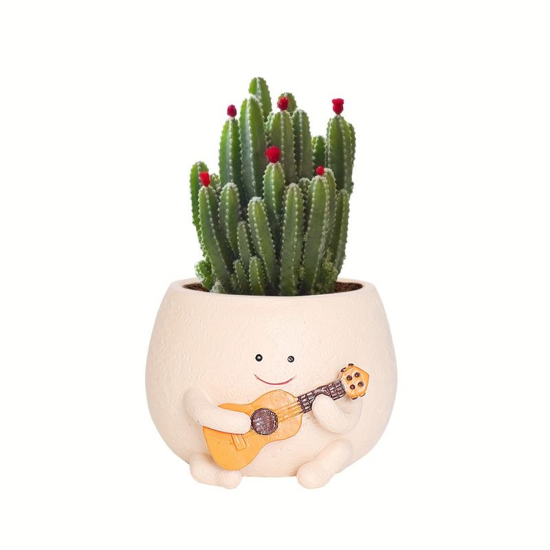 Resin Guitar-Shaped Succulent Plant Pots, Unique Irregular Design with Drainage Hole