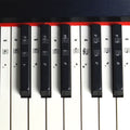 6pcs Piano Keys Sticker Piano Keyboard Labels Piano Stool Piano Label Stickers Piano Keys Labels Keyboard Music Note Sticker Piano